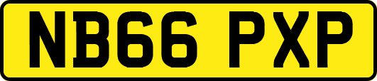 NB66PXP