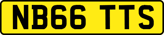 NB66TTS
