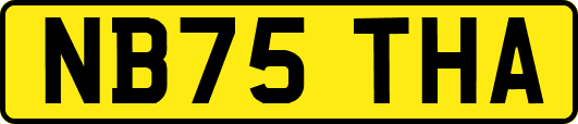 NB75THA