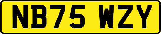 NB75WZY