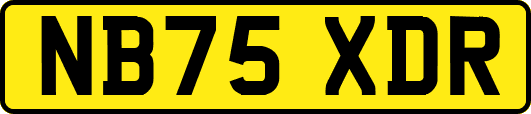 NB75XDR