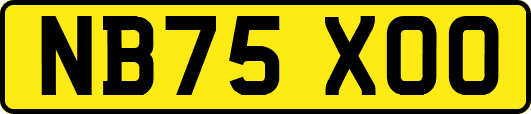 NB75XOO
