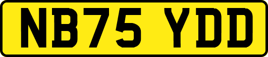 NB75YDD