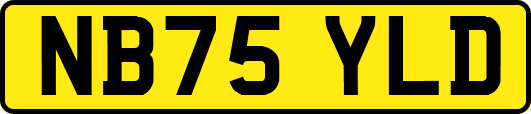 NB75YLD