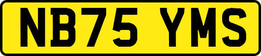 NB75YMS