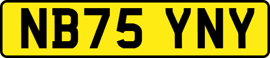 NB75YNY