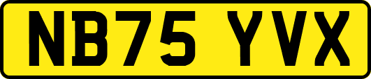 NB75YVX