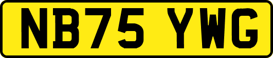 NB75YWG
