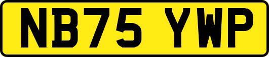 NB75YWP