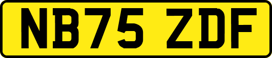 NB75ZDF
