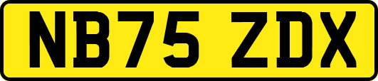 NB75ZDX