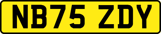 NB75ZDY