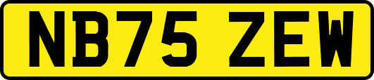 NB75ZEW
