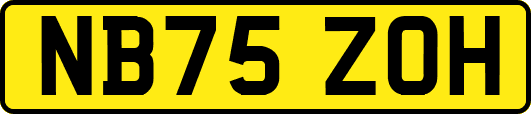 NB75ZOH