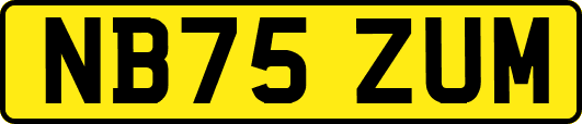 NB75ZUM