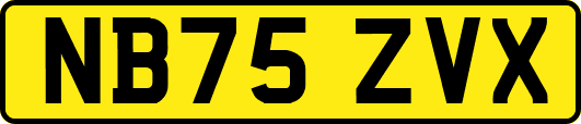 NB75ZVX