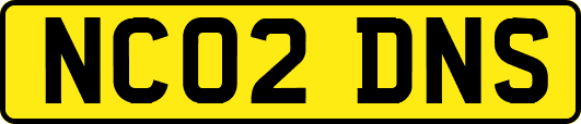 NC02DNS