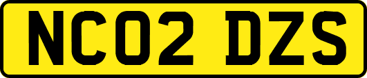 NC02DZS