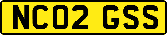 NC02GSS