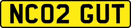 NC02GUT