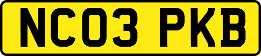 NC03PKB