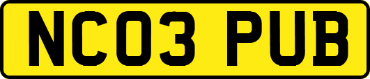 NC03PUB