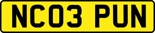 NC03PUN