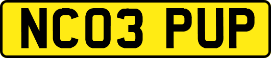 NC03PUP