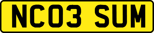 NC03SUM