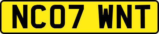 NC07WNT
