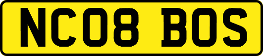 NC08BOS