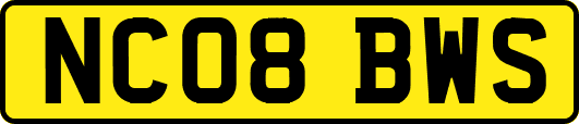 NC08BWS
