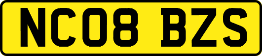 NC08BZS