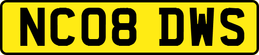 NC08DWS