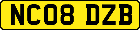 NC08DZB