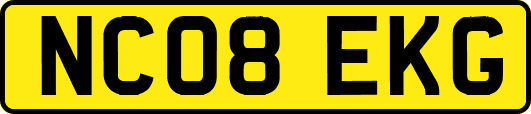 NC08EKG