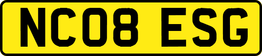 NC08ESG