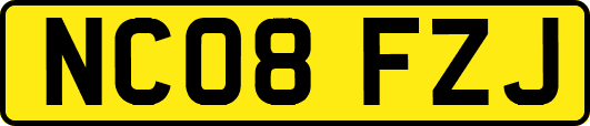 NC08FZJ