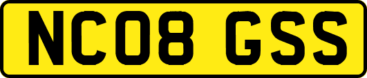 NC08GSS