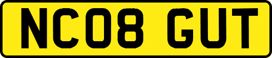 NC08GUT