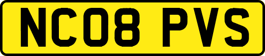 NC08PVS