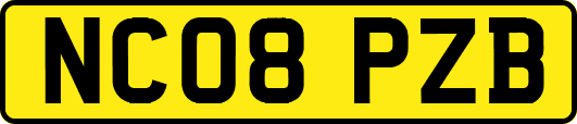 NC08PZB
