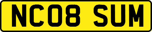NC08SUM