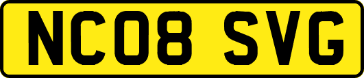 NC08SVG