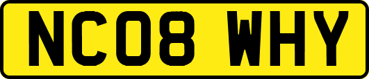NC08WHY