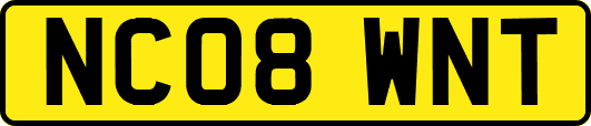 NC08WNT