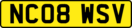 NC08WSV