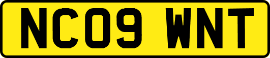 NC09WNT