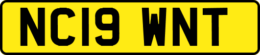 NC19WNT