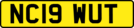 NC19WUT